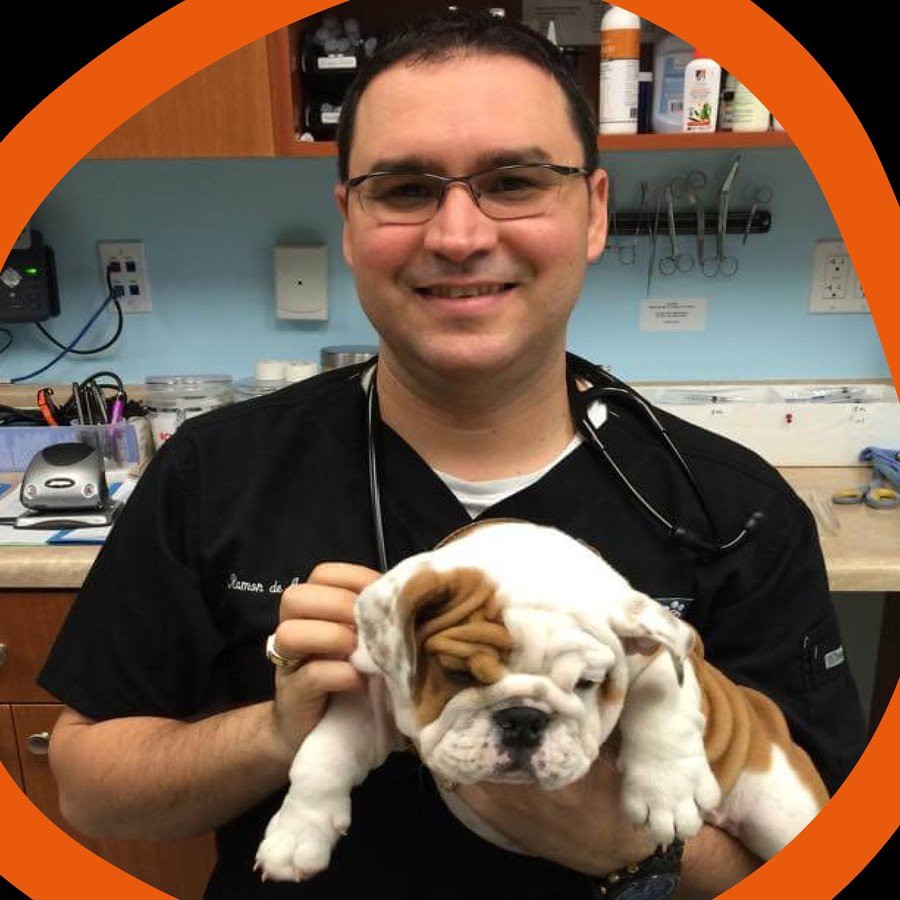 Ramon de Armas, DVM, PGCert(EAS), GPCert(EAP)
